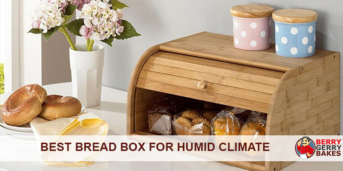 Best Bread Box for Humid Climate