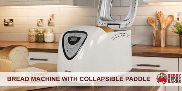 dual paddle bread maker